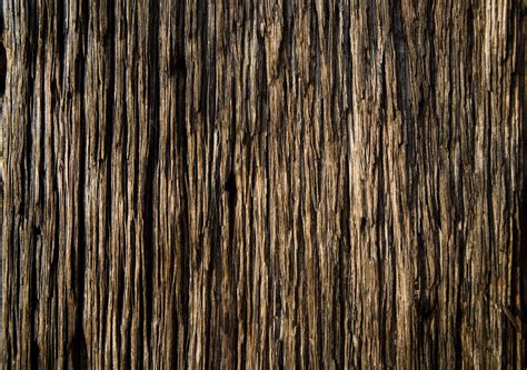 Texture of Wood | Dark wood texture, Wood texture, High resolution wood texture