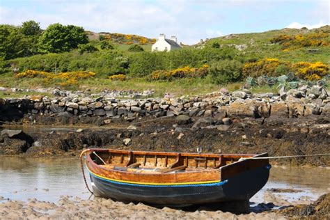 The wild and remote Isle of Gigha – Notes from Camelid Country