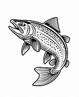 Rainbow Trout Coloring Page For Kids And Adults Stock Illustration  sketch template