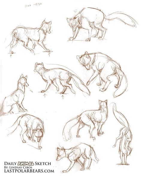 Image result for human and pet drawing poses | Sketches, Drawing sketches, Animal drawings