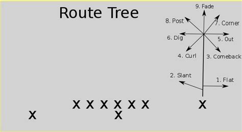 Beginner Series - The Route Tree : nfl