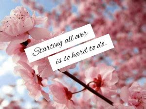 Japanese Cherry Blossom Quotes. QuotesGram