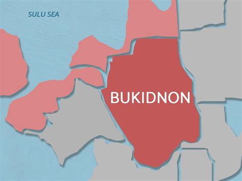 9 suspected NPAs killed in Bukidnon clash on Christmas Day – – success street is a multipurpose ...
