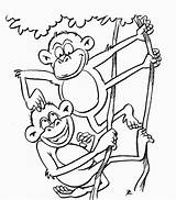 Hanging Monkey Coloring Page  Free Printable Pages For Kids sketch template