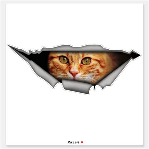 Peeking Cat Vinyl Decal |Car decal, Bumper sticker | Zazzle