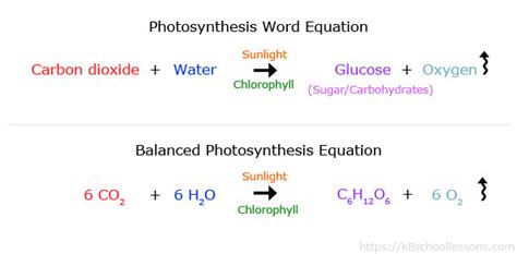 Photosynthesis for Kids | What is photosynthesis? | Photosynthesis