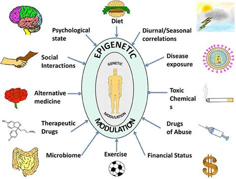 MODULAÇÃO EPIGENÉTICA PARA PREVENÇÃO DE DOENÇAS NEURODEGENERATIVAS ...