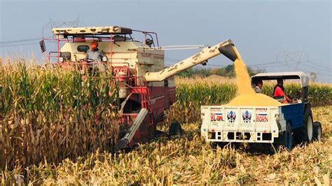 Corn Harvesting Machine / मकई फसल की कटाई मशीन / Preet 987 - YouTube