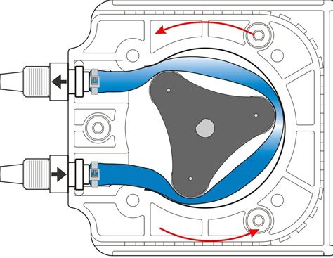 Peristaltic Pump Wear Factors - Blue-White Industries