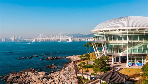 Busan, cruises to Republic of Korea | MSC Cruises