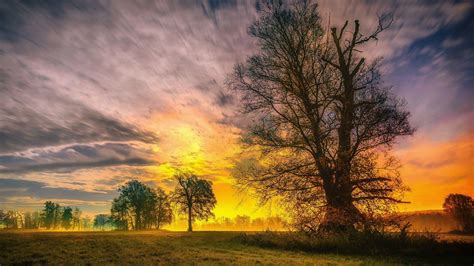 1920x1080 Resolution Spring Trees and Sunset 1080P Laptop Full HD Wallpaper - Wallpapers Den