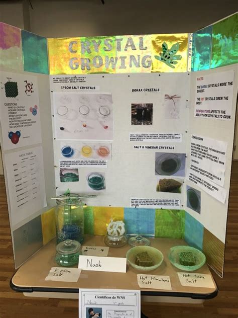 salt crystal science project display boards - Yahoo Image Search Results Science Fair Board ...