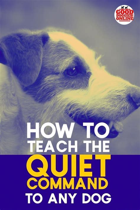 How to Teach the “Quiet” Command and Get Your Dog to Stop Barking on ...