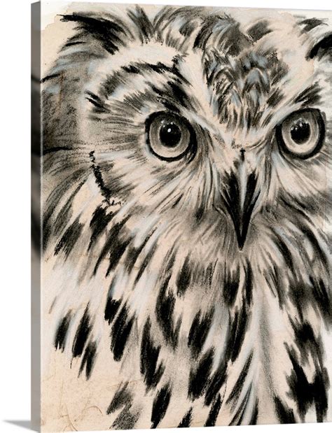 Charcoal Owl I Wall Art, Canvas Prints, Framed Prints, Wall Peels | Great Big Canvas