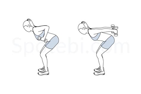 Dumbbell Triceps Kickback | Illustrated Exercise Guide