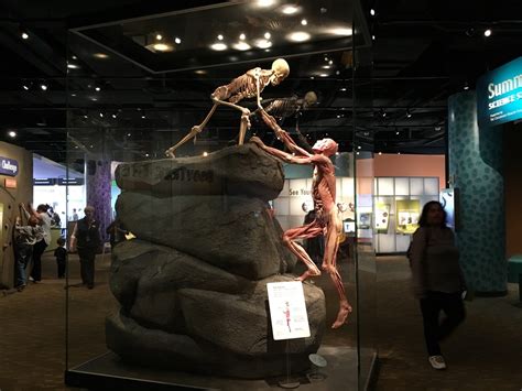 Denver Museum of Nature and Science in Denver, Colorado - Kid-friendly ...