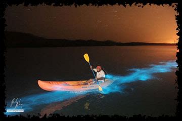 Bahías bioluminescentes Puerto Rico