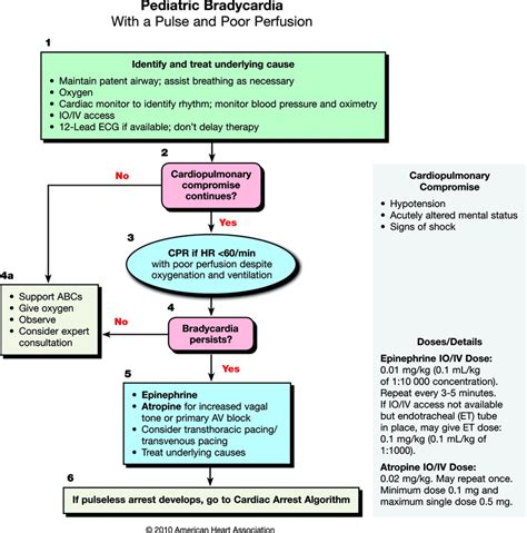 PALS Bradycardia Algorithm. | Download Scientific Diagram