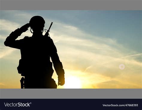 Silhouette of soldier against the sunset Vector Image