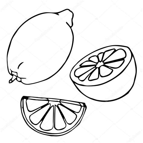 Lemon Slice Drawing | Free download on ClipArtMag