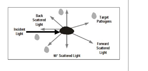 4: Scattering of light | Download Scientific Diagram