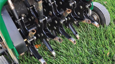 Verticutting or Core Aerating the Lawn - Grass Pad