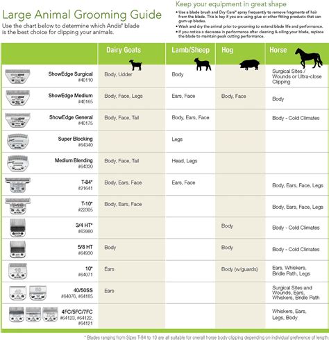 Wahl Dog Clipper Blade Sizes Chart - Greenbushfarm.com