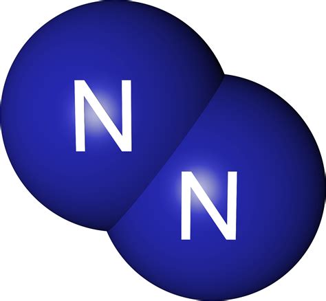 nitrogen | the chronicle flask