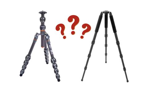 Best Tripods For Wildlife Photography - PhotoJeepers