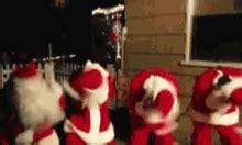 Christmas Funny GIFs | Tenor