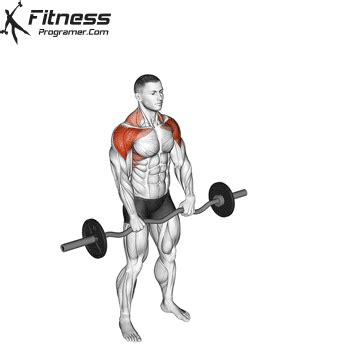 Barbell Front Raise Twist » Workout Planner