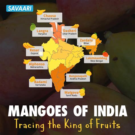 Mangoes of India - Tracing the king of fruits