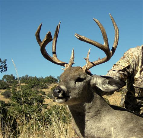 Coues Deer Hunting in Mexico | Larry Newton Outdoors