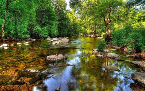 Crystal clear river-rock-coast with green trees bridge-Desktop Wallpaper HD free download for ...