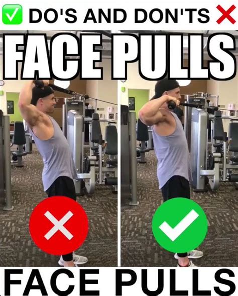 🚨Face Pulls Proper Form🚨 | Bodybuilding workouts routines, Weight ...