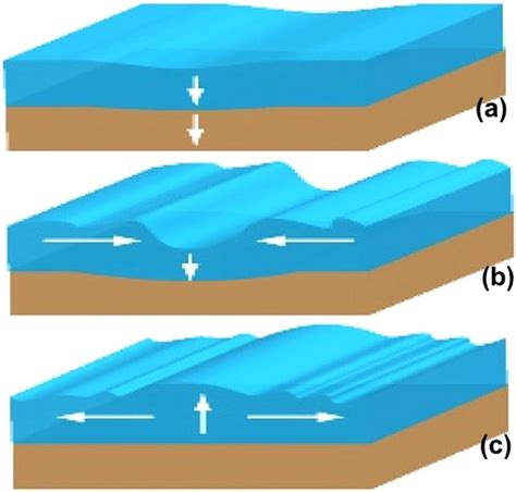 (a) Subsidence of Earth's crust (created by underwater earthquake)... | Download Scientific Diagram