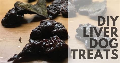 Homemade Dehydrated Liver Dog Treats - Canine Compilation