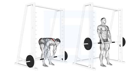 Smith Sumo Deadlift - Guide, Benefits, and Form