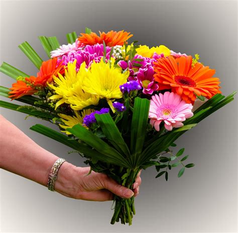 Free Images : gift, rose, color, colorful, flora, thank you, gerbera, greeting, bouquets ...