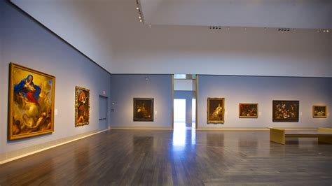 Houston Museum of Fine Arts in Houston, Texas | Expedia.ca