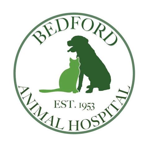 Animal Hospital in Bedford, NH | Bedford Animal Hospital