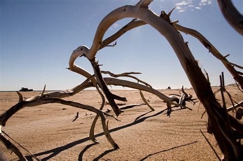 Driftwood | Kat | Flickr