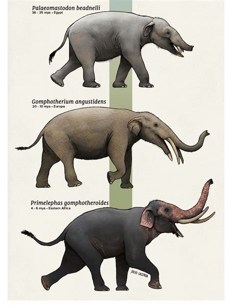 280 best prehistoric Africa images on Pinterest | Prehistoric animals, Animal science and ...