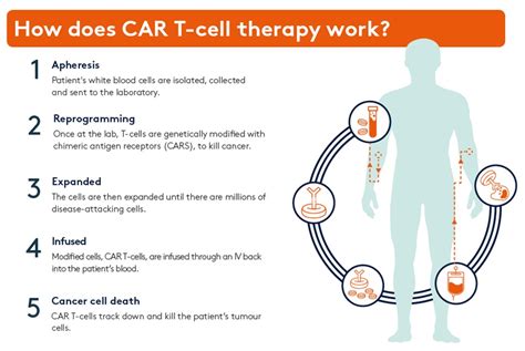 CAR-T Cell Therapy : a new treatment to Fight Cancer – Discover yourself