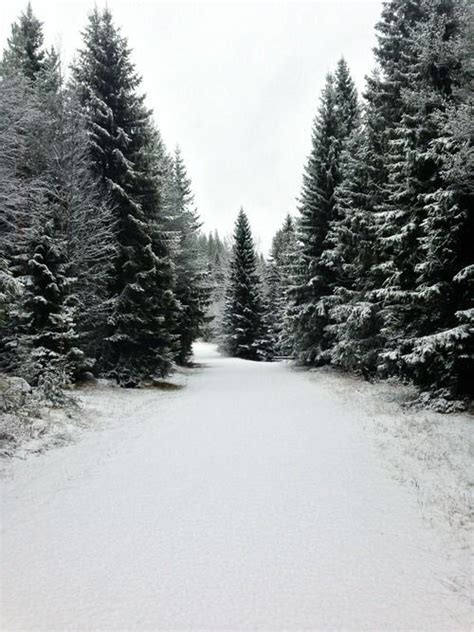 winter walk | Winter scenery, Winter scenes, Winter landscape