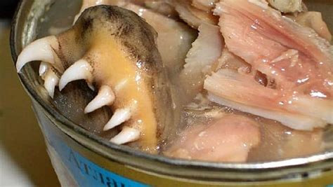 World's most bizarre canned foods