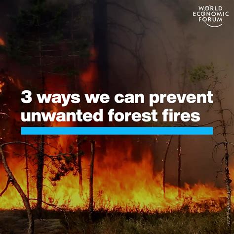 3 Ways We Can Prevent Unwanted Forest Fires | World Economic Forum