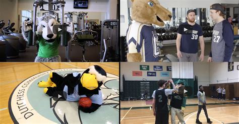 A Day In The Life Of A Hard Working SUNY Mascot | Big Ideas Blog