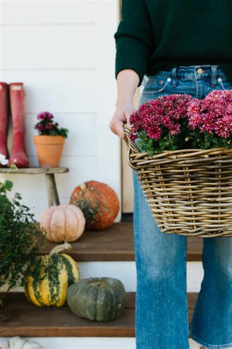 Fall Porch Decorating with Pumpkins & Mums - Boxwood Ave.