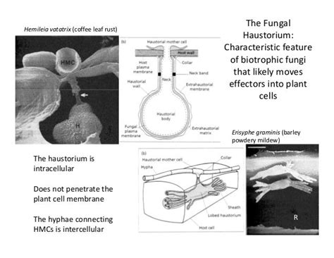 Molecular interaction